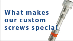 What makes our custom screws special